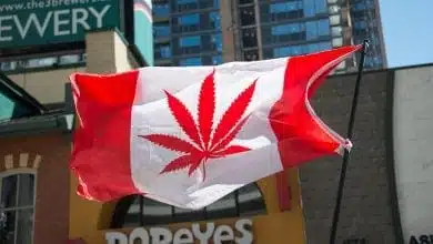 דגל קנאביס קנדה